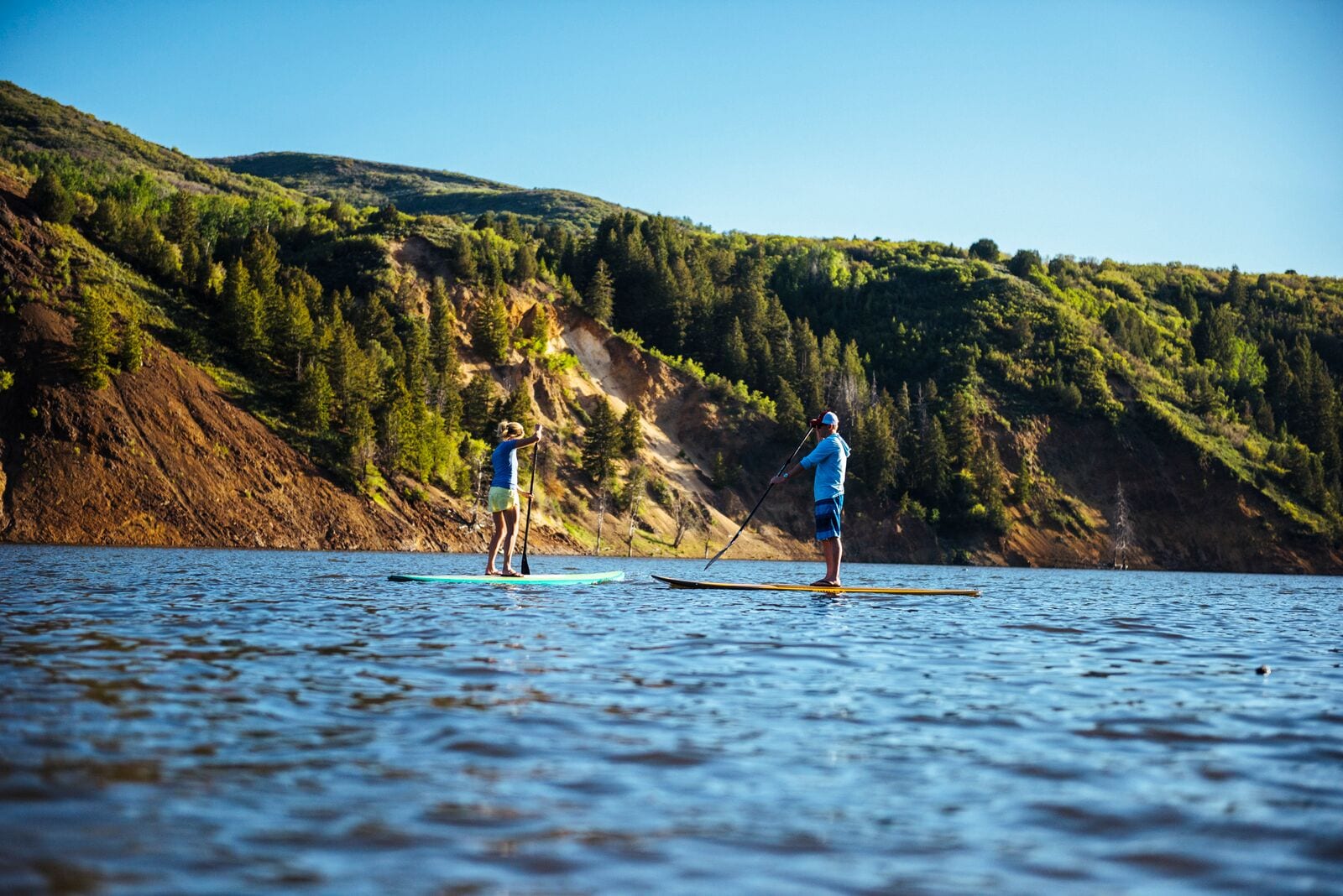 Are Dogs Allowed At Strawberry Reservoir